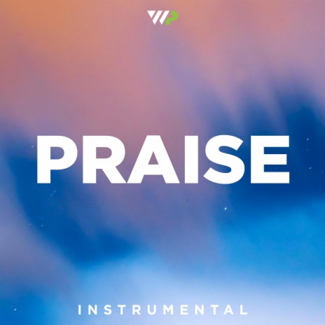 Praise (Instrumental) | Boomplay Music