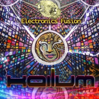 Electronics Fusion