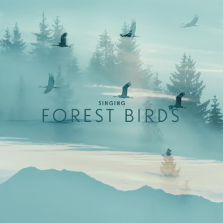 Singing Forest Birds: Nature Sounds for Relaxation & Stress Relief