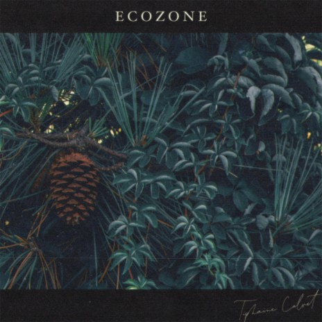 Ecozone (Nocturne) | Boomplay Music