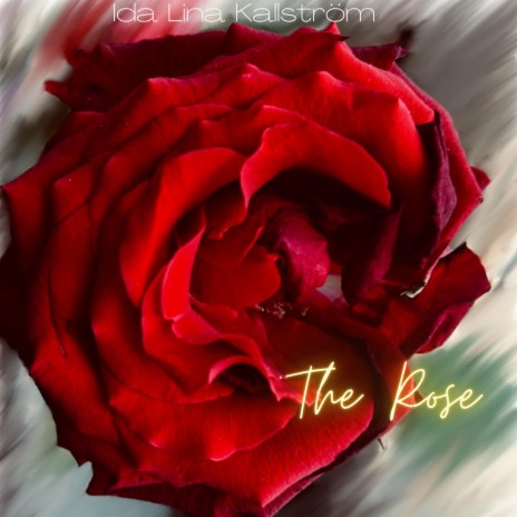 The Rose | Boomplay Music