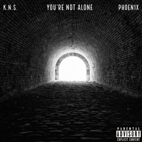 You're Not Alone (feat. Phoen1x)