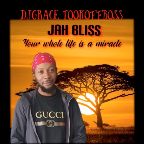 Your Whole Is a Miracle ft. JAH BLISS | Boomplay Music