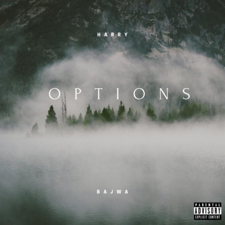 Options | Boomplay Music