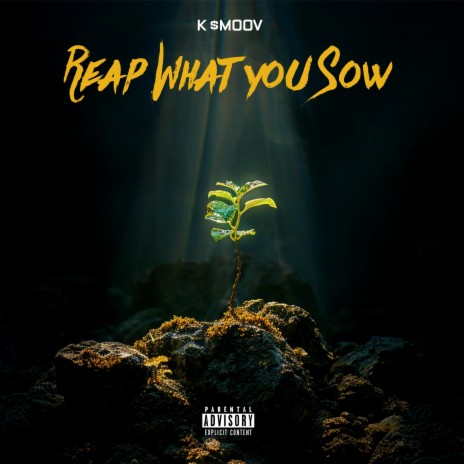 Reap What you Sow | Boomplay Music