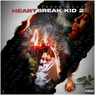 HeartBreakKid 2 : Stay Toxic