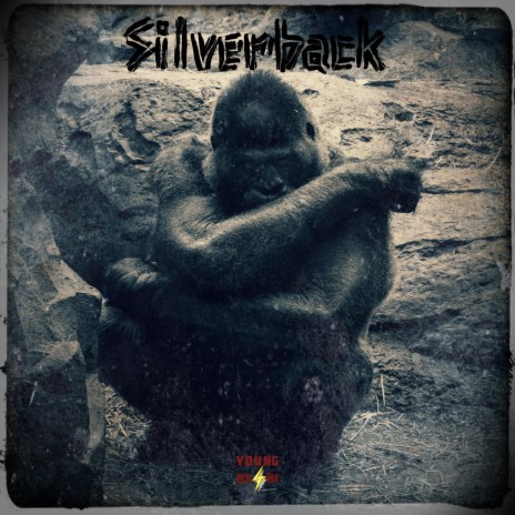 Silverback | Boomplay Music