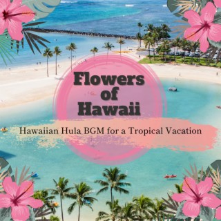 Hawaiian Hula BGM for a Tropical Vacation