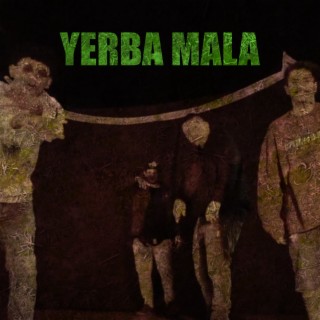 Yerba Mala