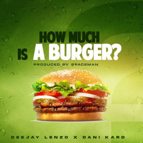 How Much is a Burger (feat. Dani Kard) | Boomplay Music