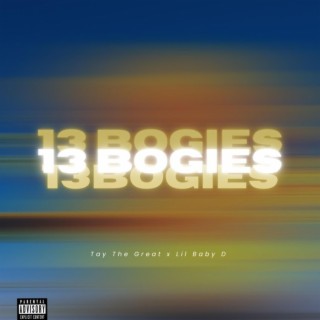 13 bogies