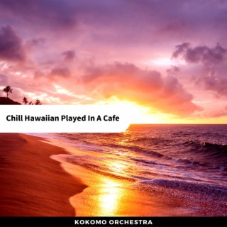 Chill Hawaiian Played In A Cafe