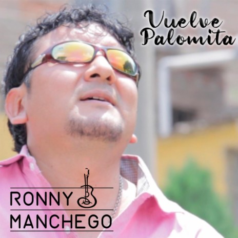 Vuelve Palomita | Boomplay Music