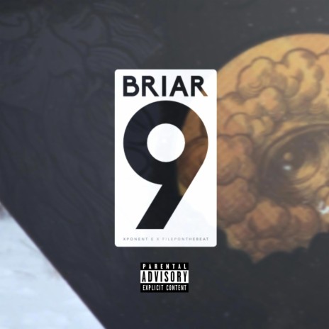 BRIAR 9