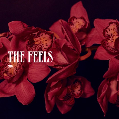 The Feels | Boomplay Music