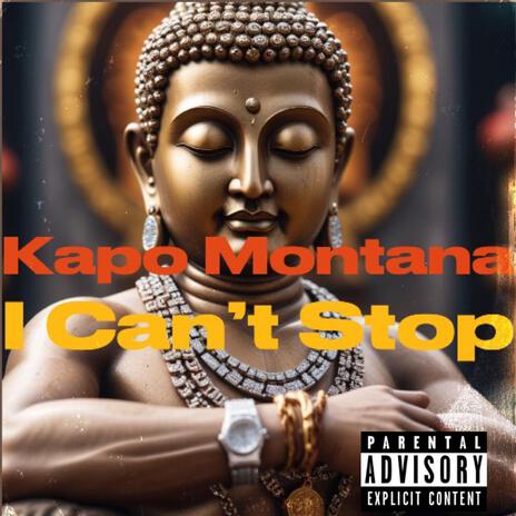 I Can't Stop | Boomplay Music