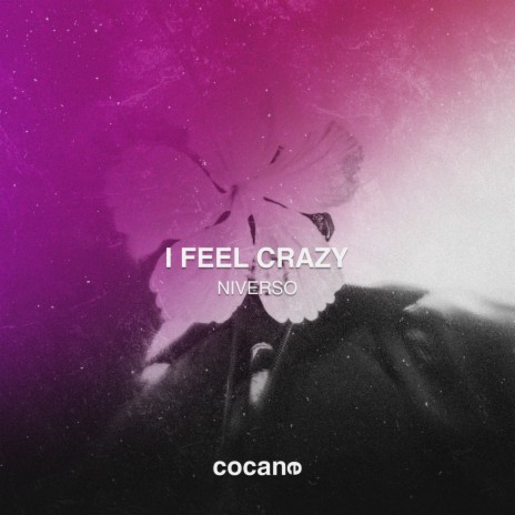 I Feel Crazy | Boomplay Music