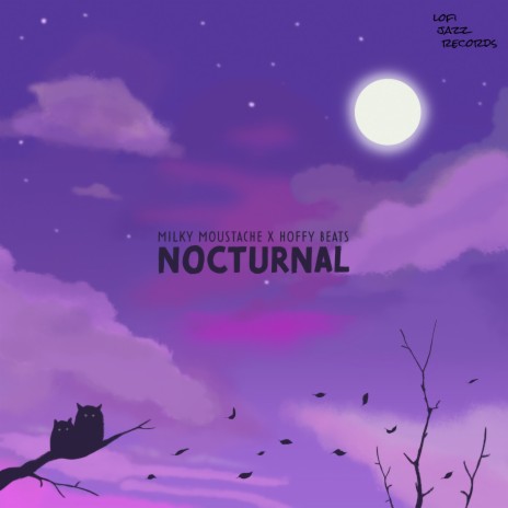 Nocturnal ft. Hoffy Beats | Boomplay Music