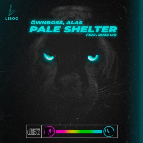 Pale Shelter (Extended) ft. ALAS & Buzz Liq | Boomplay Music