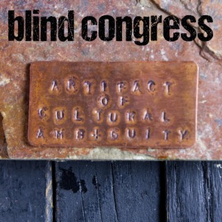 Blind Congress