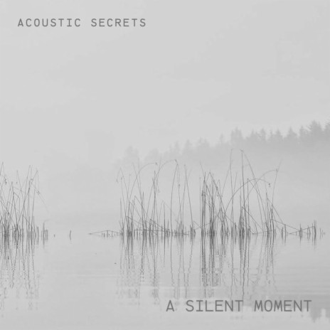A Silent Moment | Boomplay Music