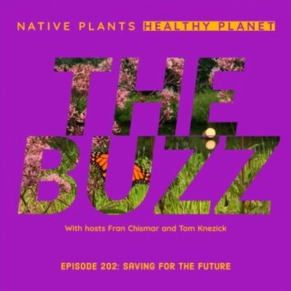 The Buzz - Saving for the Future