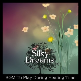BGM To Play During Healing Time