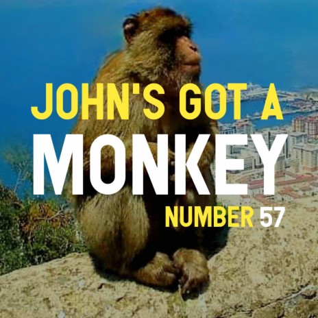 John's got a monkey | Boomplay Music