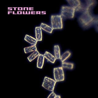 Stone Flowers