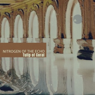 Nitrogen of the Echo