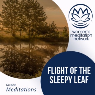 Flight of the Sleepy Leaf