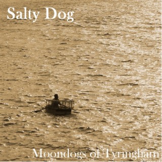 Salty Dog