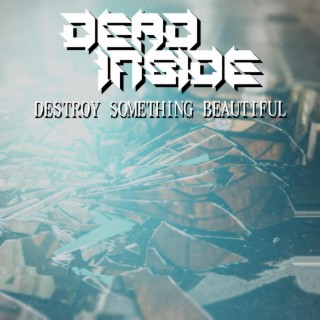 Destroy Something Beautiful