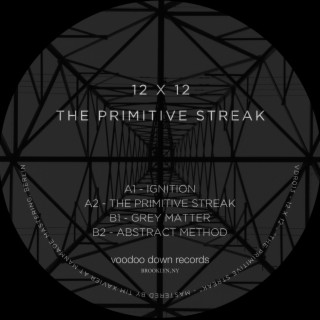 The Primitive Streak