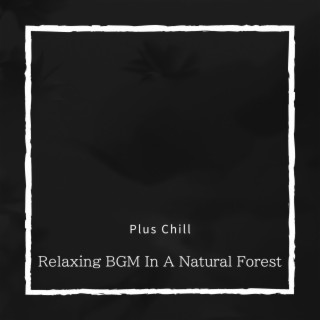 Relaxing BGM In A Natural Forest
