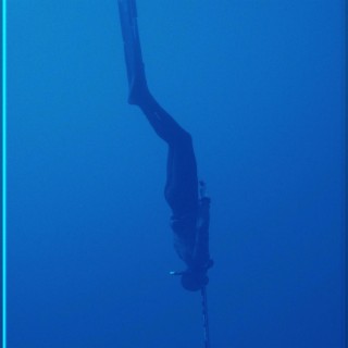 Dive