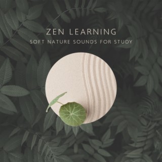 Zen Learning: Soft Nature Sounds for Study, Stress Free, Deep Focus, Concentration, Train Memory, Brain Power