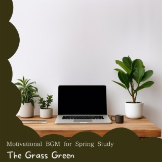 Motivational Bgm for Spring Study