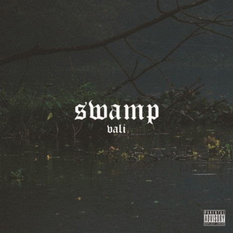 swamp | Boomplay Music