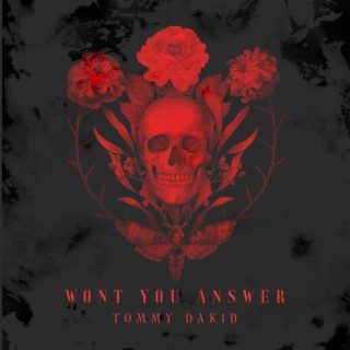 Wont You Answer lyrics | Boomplay Music