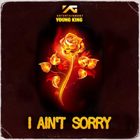 I Ain't Sorry | Boomplay Music