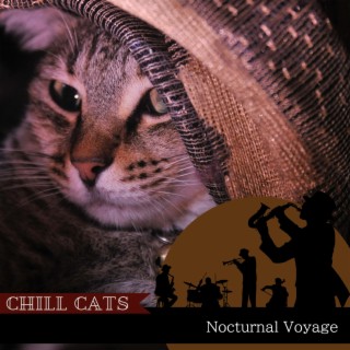 Nocturnal Voyage