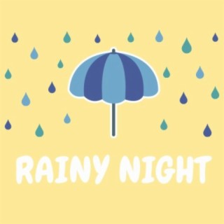 Rainy Night