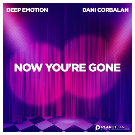 Now You're Gone ft. Dani Corbalan | Boomplay Music