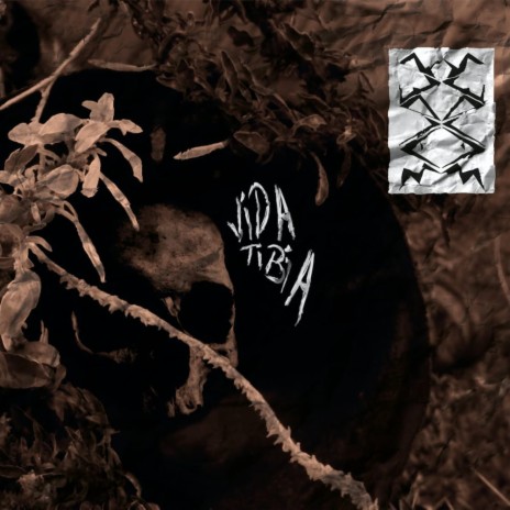 Vida Tibia | Boomplay Music