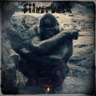 Silverback