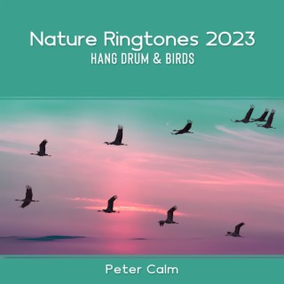 Nature Ringtones 2023: Hang Drum & Birds – Morning in the Garden