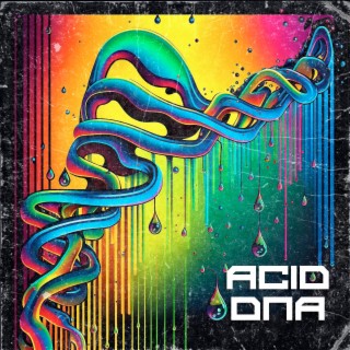 Acid Dna
