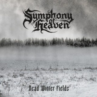 Dead Winter Fields