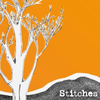 Stitches lyrics | Boomplay Music